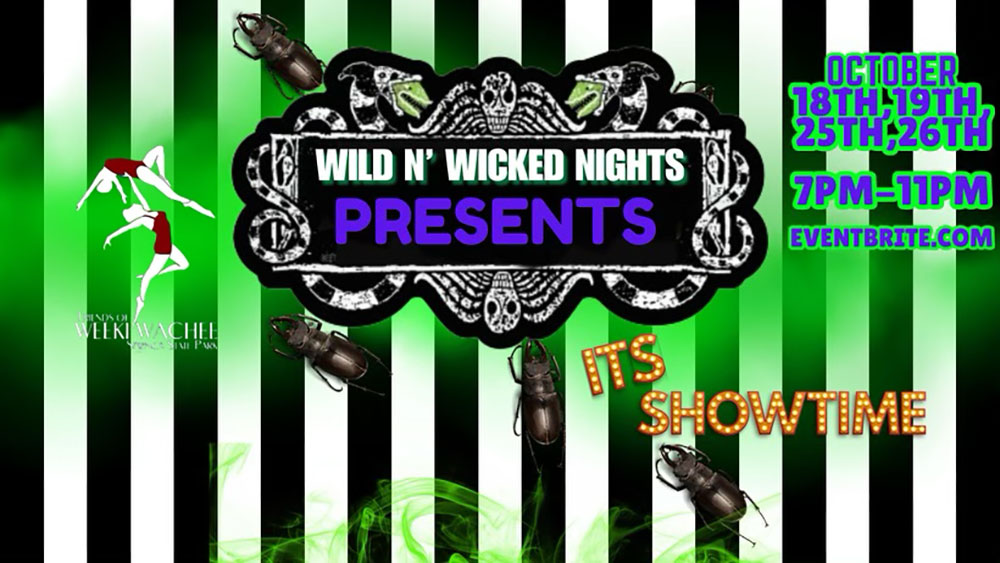 Wild n' Wicked Nights