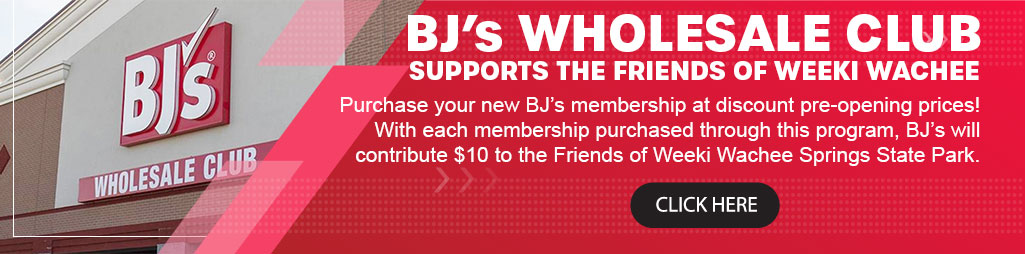 BJ's Wholesale Club Spring Hill